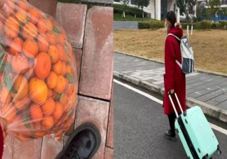 女生带50斤砂糖橘返校结果全丢了是怎么回事 砂糖橘为什么受欢迎