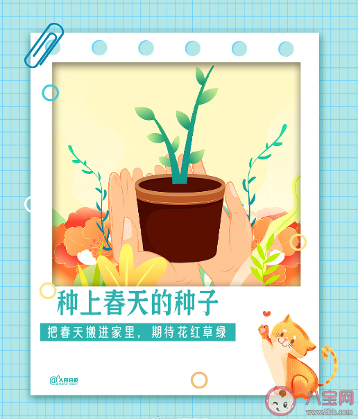 春日里有仪式感的9件小事 春天必做的3件事