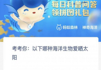 以下哪种海洋生物爱晒太阳 神奇海洋2月23日答案