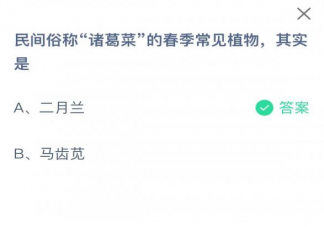 俗称诸葛菜的春季常见植物是什么 蚂蚁庄园2月24日答案介绍