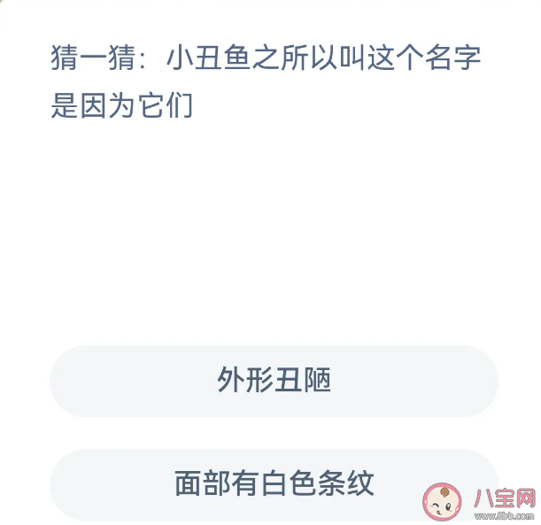 蚂蚁森林小丑鱼之所以叫这个名字是因为什么 神奇海洋2月24日答案
