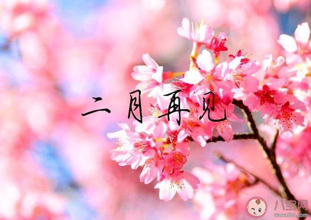 2023二月最后一天文案精美图片说说 2023二月最后一天的图片配字句子