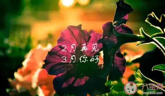 送走2月迎来3月的心情文案说说 2月再见3月你好的感受句子 送走2月迎来3月的心情文案说说 2月再见3月你好的感受句子