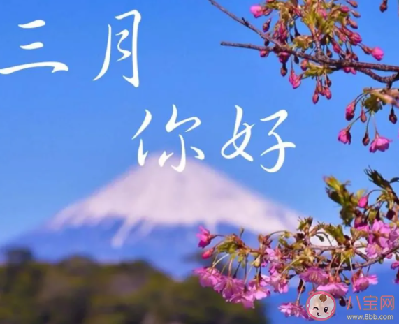 送走2月迎来3月的心情文案说说 2月再见3月你好的感受句子 送走2月迎来3月的心情文案说说 2月再见3月你好的感受句子