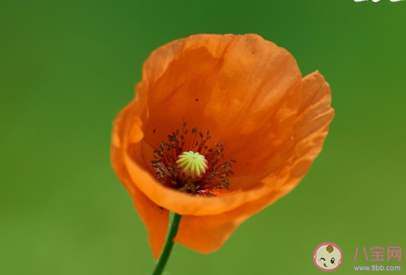 送走2月迎来3月的心情文案说说 2月再见3月你好的感受句子 送走2月迎来3月的心情文案说说 2月再见3月你好的感受句子