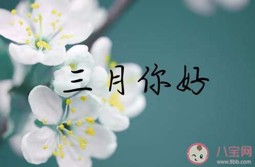 2023三月你好温柔又文艺的文案说说 2023三月温暖人心的文案大全 2023三月你好温柔又文艺的文案说说 2023三月温暖人心的文案大全