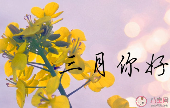 2023三月你好温柔又文艺的文案说说 2023三月温暖人心的文案大全 2023三月你好温柔又文艺的文案说说 2023三月温暖人心的文案大全