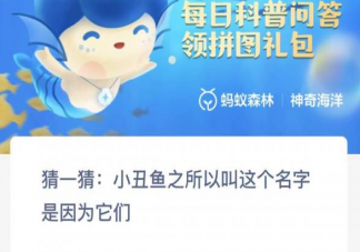 小丑鱼之所以叫这个名字是因为它们 神奇海洋2月24日答案