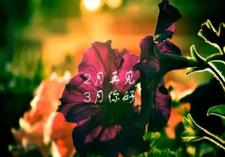 送走2月迎来3月的心情文案说说 2月再见3月你好的感受句子