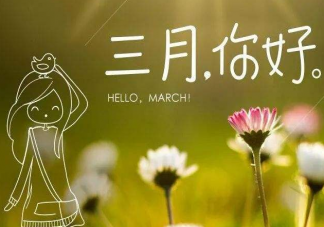 2023三月你好温柔又文艺的文案说说 2023三月温暖人心的文案大全
