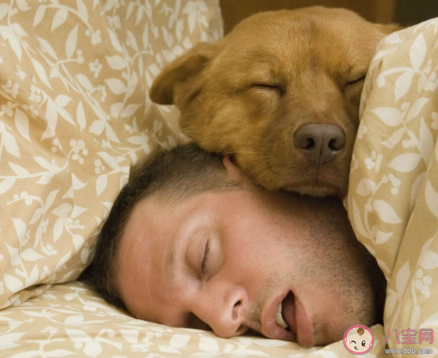 秒睡可能是种睡眠障碍吗 如何拯救睡眠障碍
