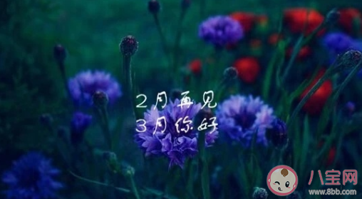 2月再见3月你好朋友圈配图文案句子 2月再见3月你好图片早安说说语录
