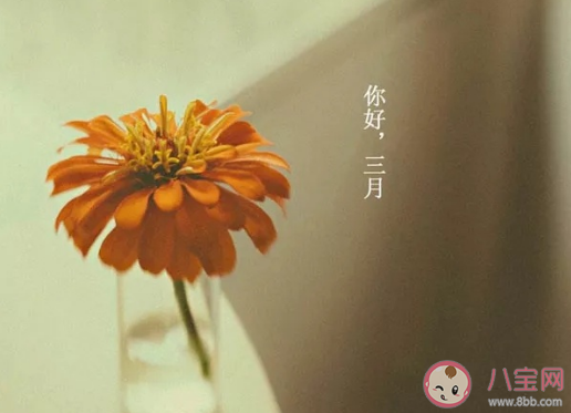 2月再见3月你好朋友圈配图文案句子 2月再见3月你好图片早安说说语录