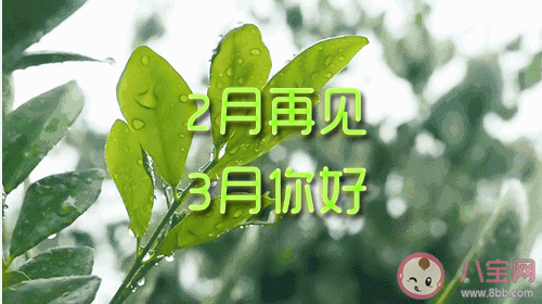 2月再见3月你好朋友圈配图文案句子 2月再见3月你好图片早安说说语录