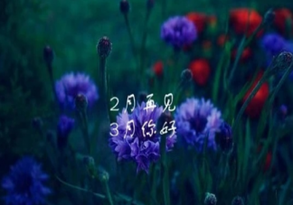 2月再见3月你好朋友圈配图文案句子 2月再见3月你好图片早安说说语录