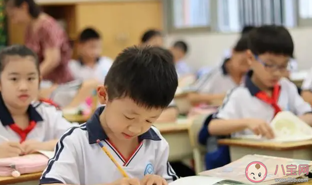 建议第三孩从幼儿园到高中免费教育 为何是从三孩开始
