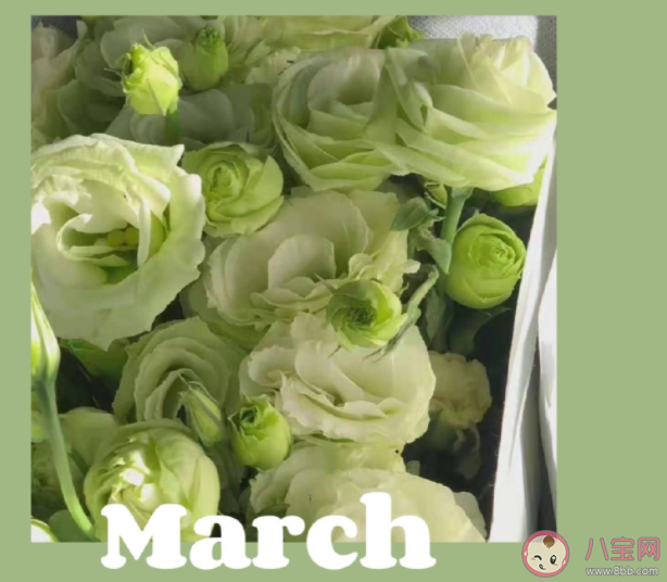 3月第一天的美好文案句子最新 3月第一天的唯美文案说说