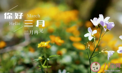 3月第一天的美好文案句子最新 3月第一天的唯美文案说说