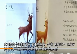 小学生给课本挑错新教材真的改了是怎么回事 发现课本中的错误该怎么办
