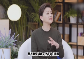 杨澜说独立女性不意味着独身 怎样才能成为独立女性