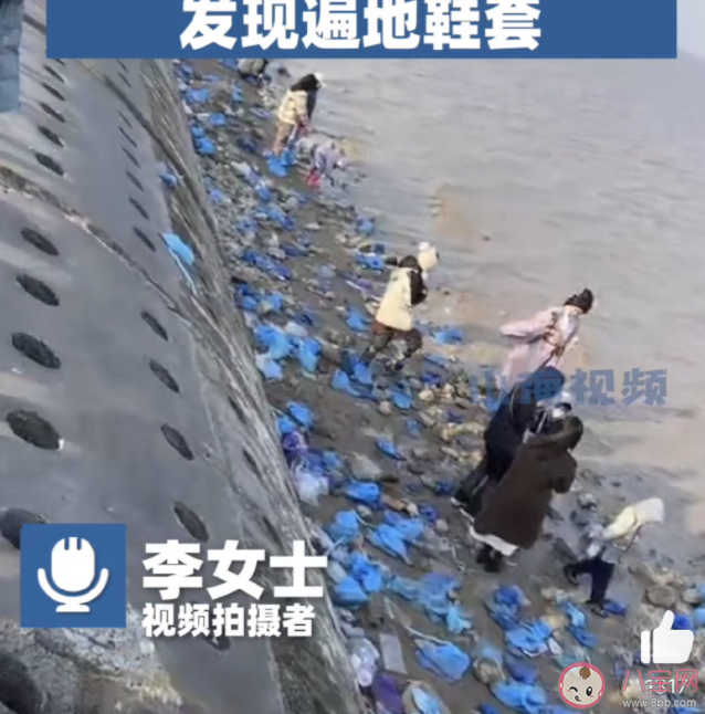 女生赶海涨潮后发现遍地鞋套是怎么回事 赶海有哪些注意事项 女生赶海涨潮后发现遍地鞋套是怎么回事 赶海有哪些注意事项