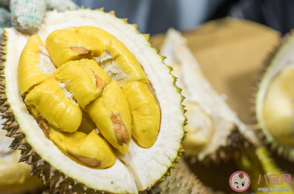 榴莲有点酒味道正常吗 剥榴莲有什么技巧 榴莲有点酒味道正常吗 剥榴莲有什么技巧