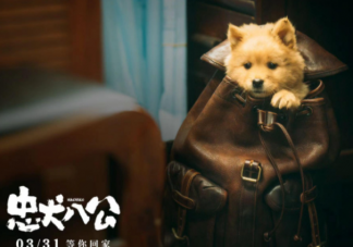 电影《忠犬八公》定档什么时候上映 《忠犬八公》讲的是什么故事