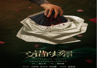 《交错的场景》是根据什么小说改编的 原著小说故事梗概