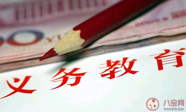 代表建议试行十二年义务教育 你同意十二年义务教育吗