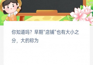 早期店铺也有大小之分大的称为 蚂蚁新村3月4日答案
