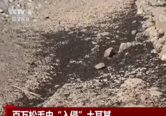 地震后松毛虫大规模入侵土耳其 松毛虫有什么危害