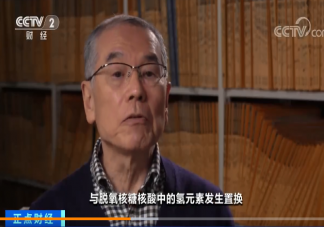核污水排海或将影响整个生物圈 核污水怎么处理最好