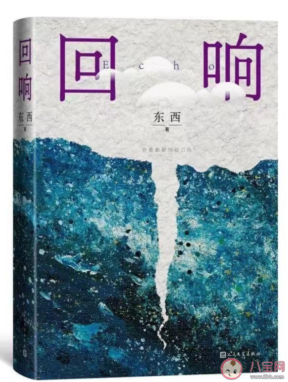 《回响》是根据什么小说改编的 《回响》人物关系介绍