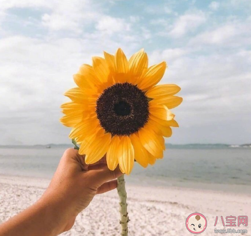 自渡自愈的朋友圈文案说说语录2023 自渡自愈的文案简短句子大全