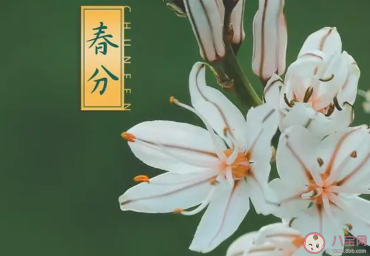 2023春分早安心语文案说说 2023春分说早安的句子语录