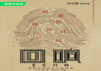 《回响》是根据什么小说改编的 《回响》人物关系介绍