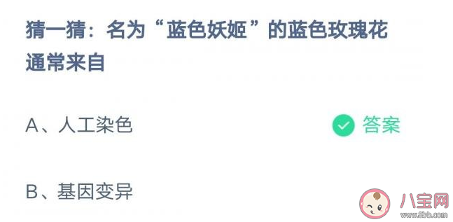 名为蓝色妖姬的蓝色玫瑰花通常来自 蚂蚁庄园3月11日答案