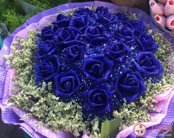 名为蓝色妖姬的蓝色玫瑰花通常来自 蚂蚁庄园3月11日答案