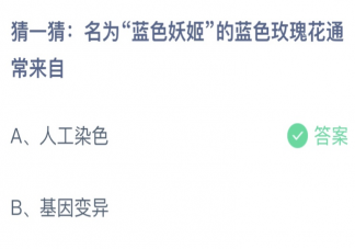 蓝色妖姬的蓝色玫瑰花通常来自 蚂蚁庄园3月11日答案最新
