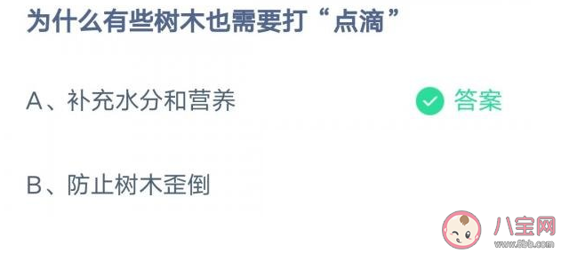 为什么有些树木也需要打点滴 蚂蚁庄园3月12日答案解析