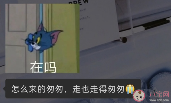 关于不回消息的文案句子 不回消息发疯文案合集