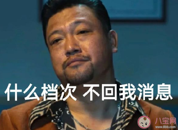 关于不回消息的文案句子 不回消息发疯文案合集