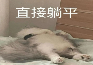 委员称年轻人想躺平更多是调侃 年轻人说躺平是在表达什么