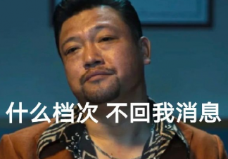 关于不回消息的文案句子 不回消息发疯文案合集
