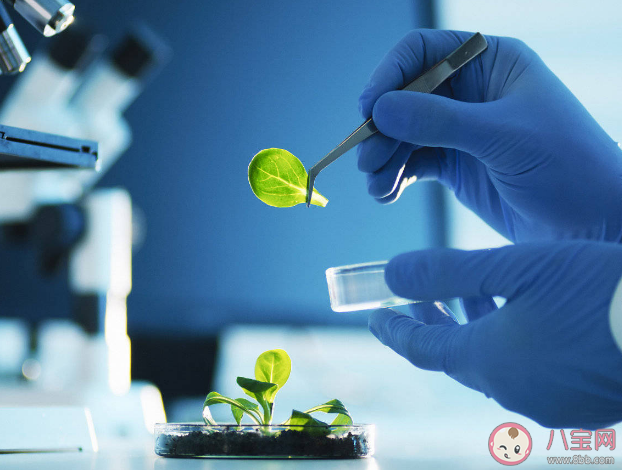 我国理工科学生比例下降 如何看待理科人数下降
