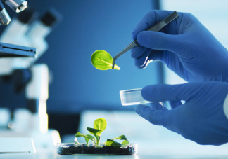 我国理工科学生比例下降 如何看待理科人数下降