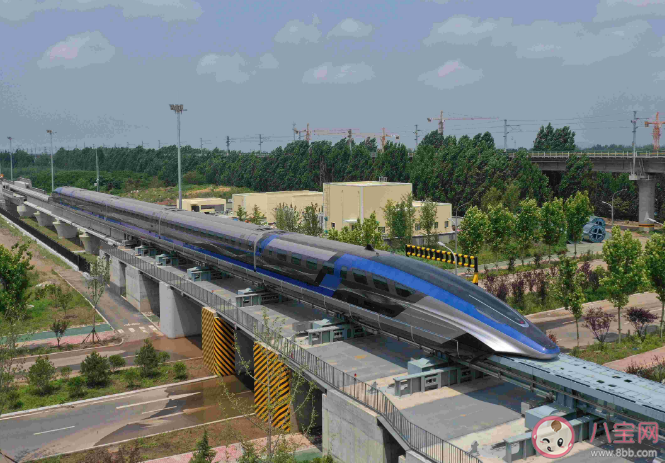 为什么乘坐高铁经过隧道时耳朵会有压迫感 蚂蚁庄园3月16日答案 为什么乘坐高铁经过隧道时耳朵会有压迫感 蚂蚁庄园3月16日答案