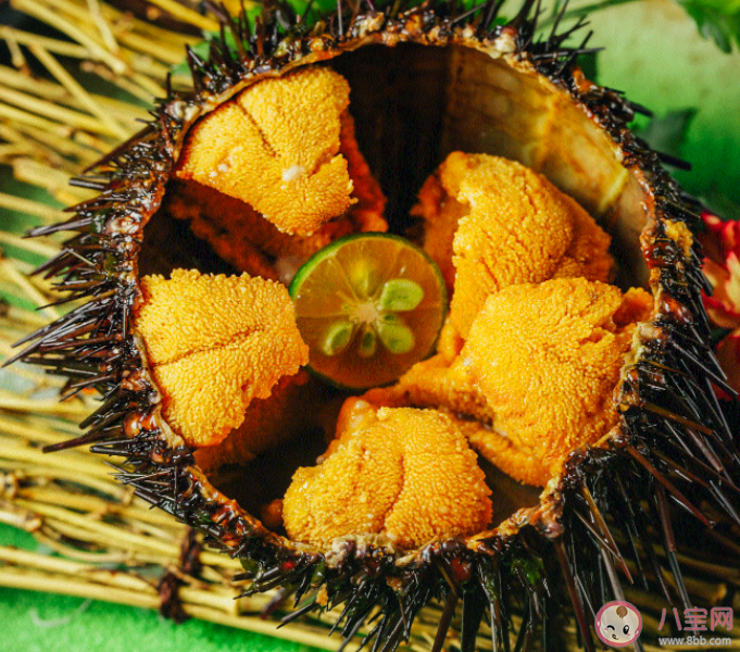 被称为海底刺客的海洋生物是 神奇海洋3月15日答案 被称为海底刺客的海洋生物是 神奇海洋3月15日答案