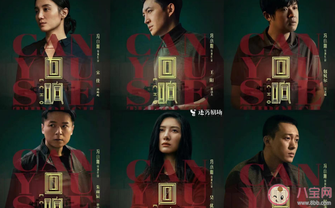 《回响》小说幕后凶手是谁 《回响》结局是什么