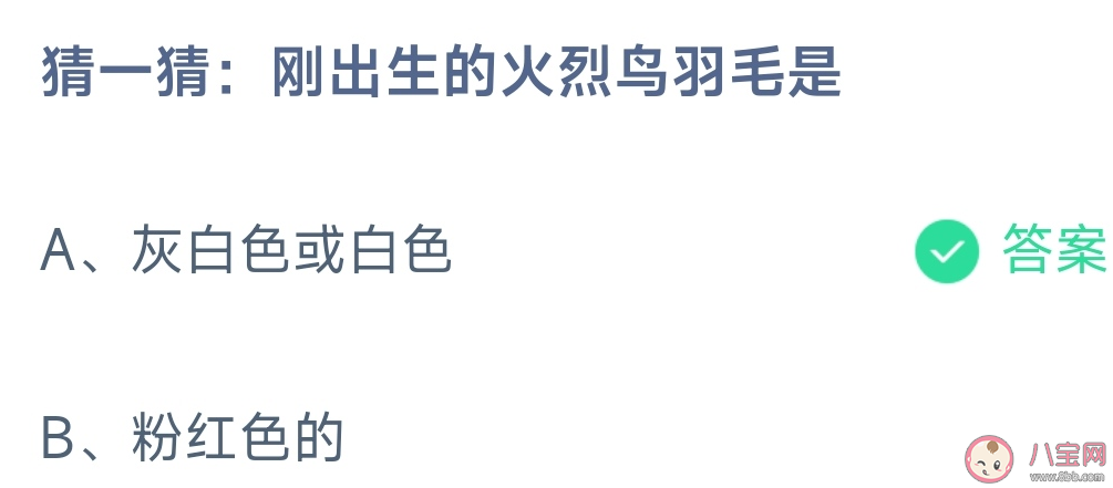 刚出生的火烈鸟羽毛是什么颜色 蚂蚁庄园3月17日答案 刚出生的火烈鸟羽毛是什么颜色 蚂蚁庄园3月17日答案